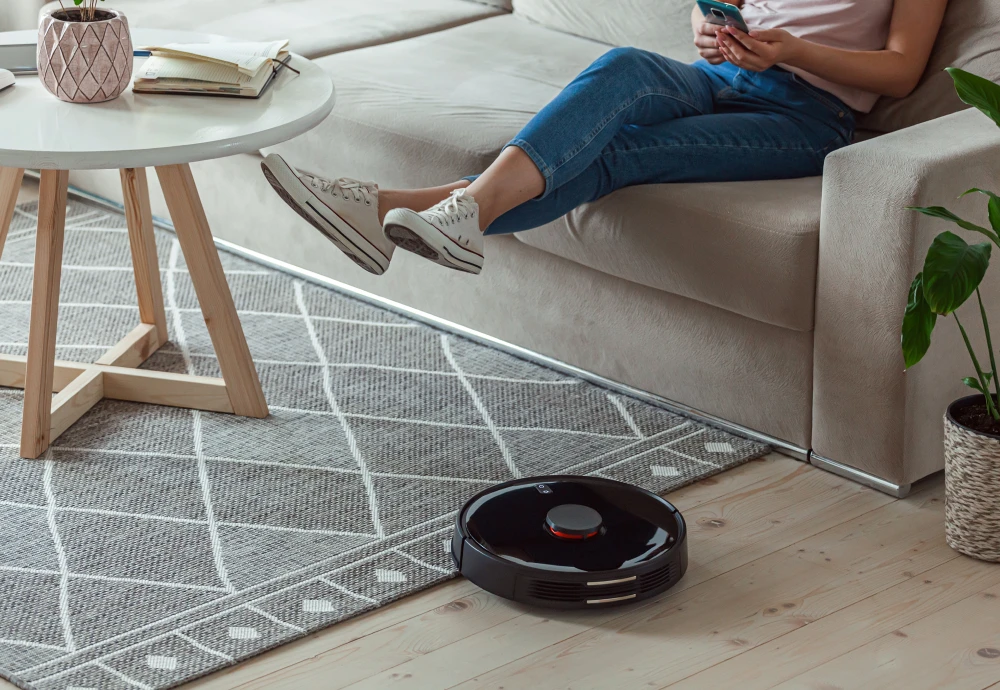 the robot vacuum cleaner